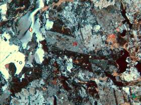 蚀变细粒花岗闪长岩