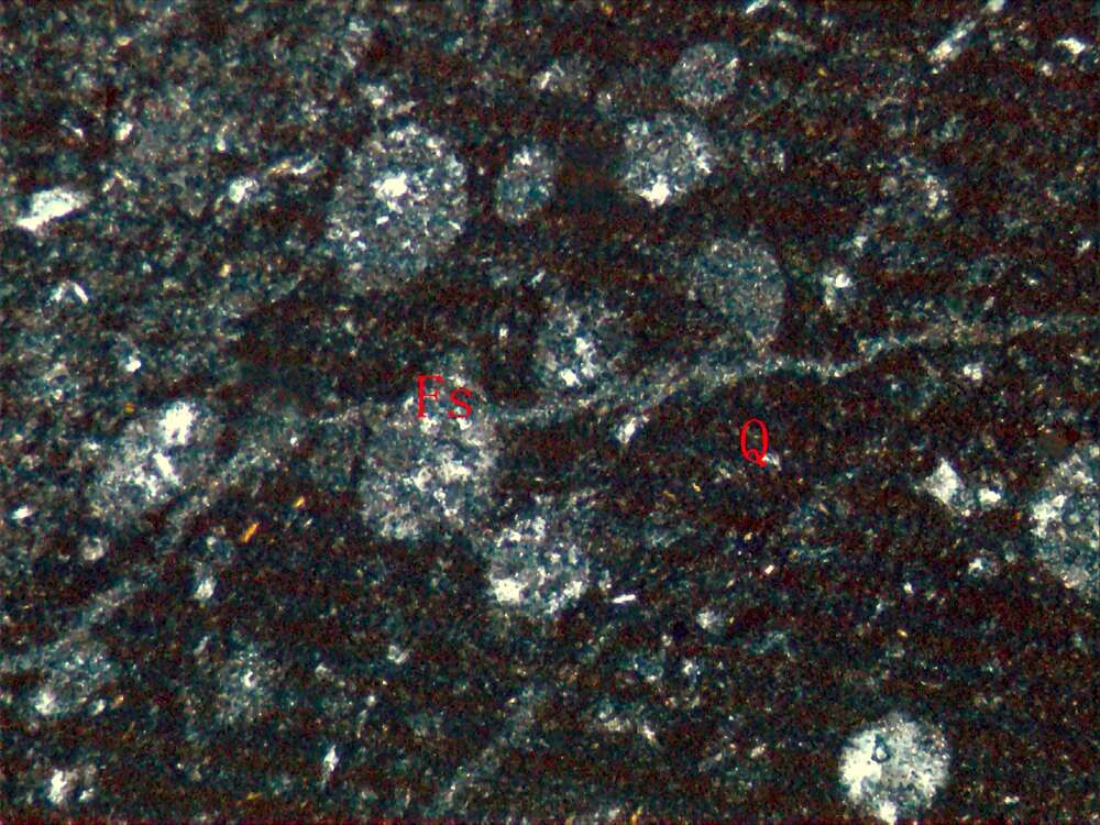 含放射虫火山尘凝灰岩