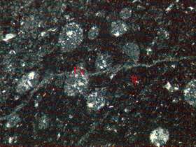 含放射虫火山尘凝灰岩