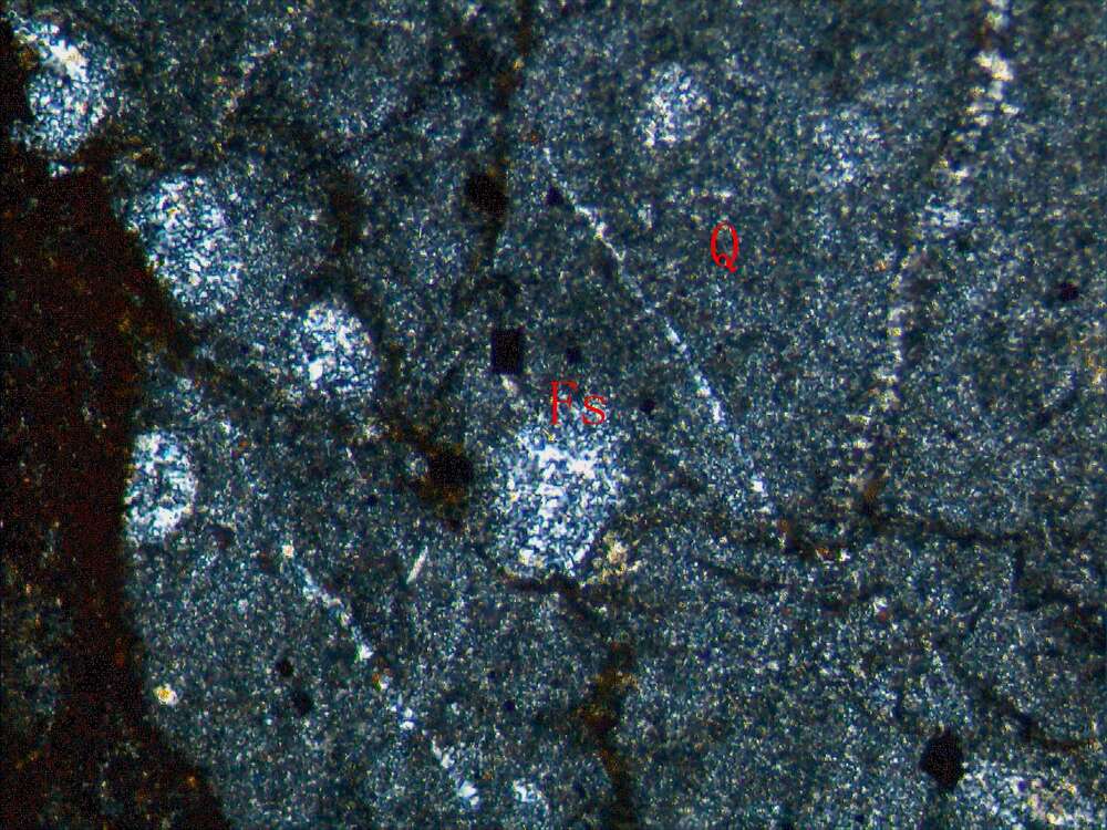 含放射虫硅质岩