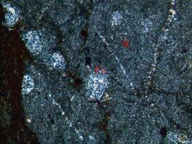 含放射虫硅质岩