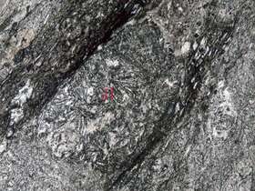 安山质火山质角砾岩