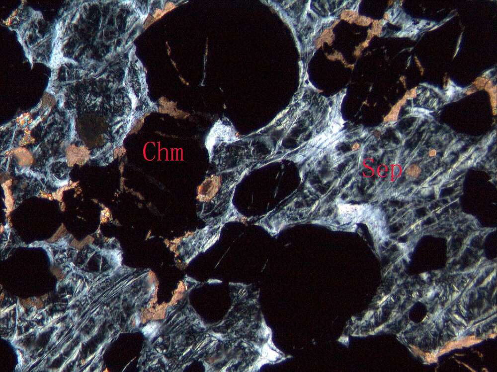 铬铁矿化蛇纹岩