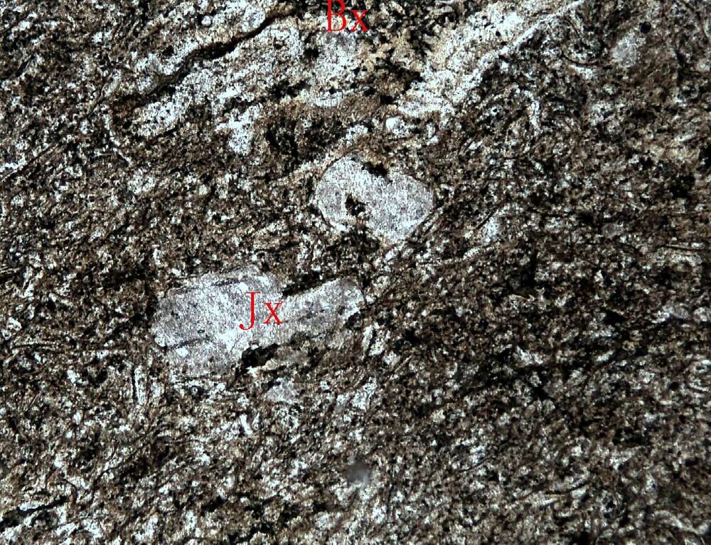 蚀变安山质玻屑熔结凝灰岩