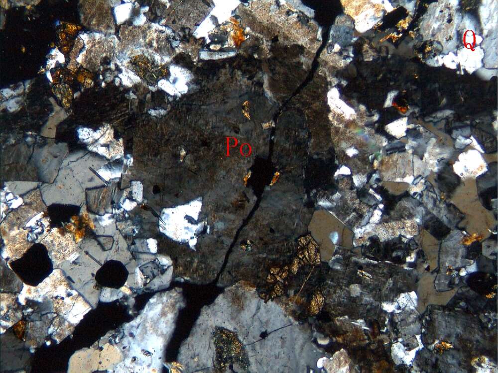 斑状钾长花岗岩