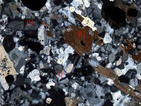 细粒石英闪长岩