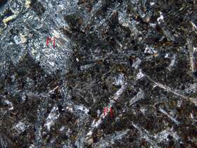 蚀变球颗玄武岩