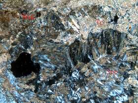 滑石菱镁矿化蛇纹岩