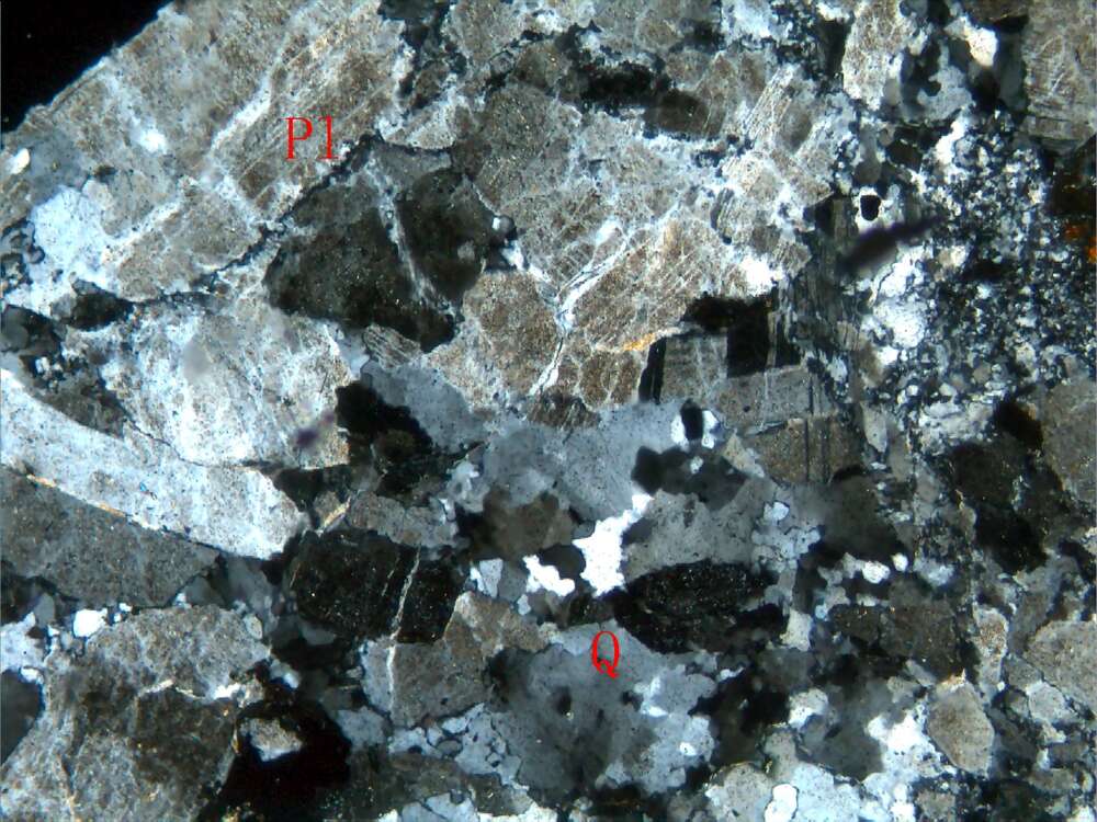 蚀变细粒斜长花岗岩