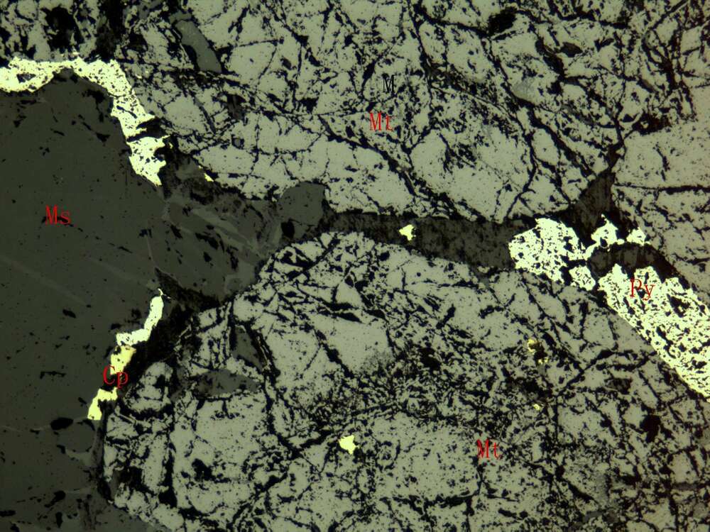 含硫磁铁矿矿石