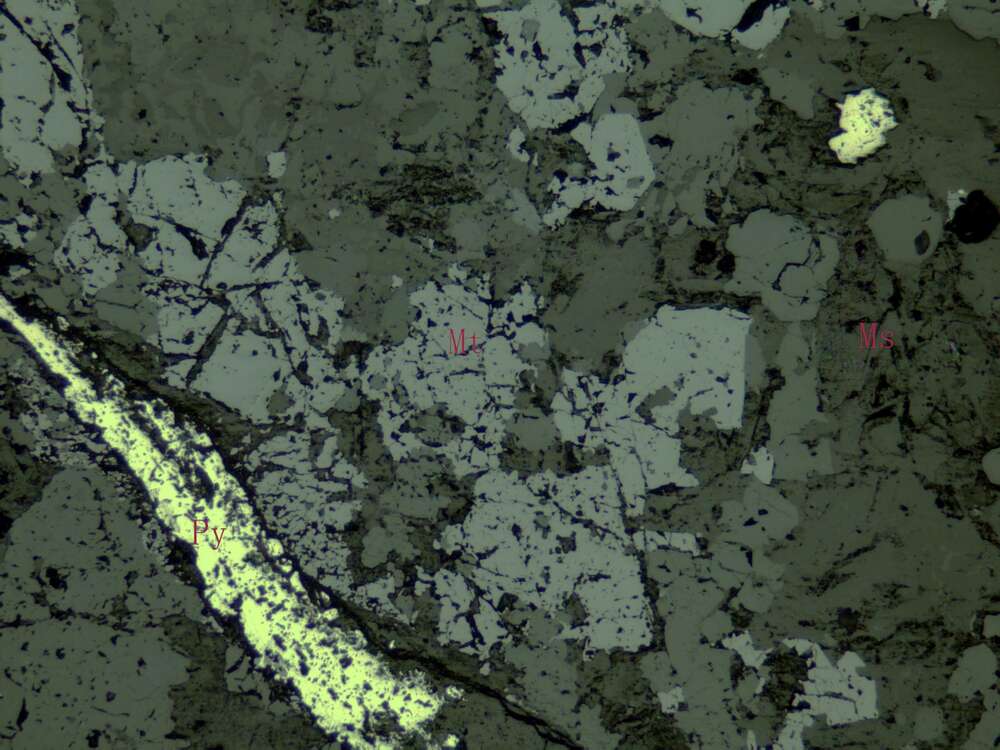 稀疏浸染状磁铁矿矿石