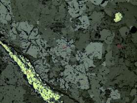 稀疏浸染状磁铁矿矿石