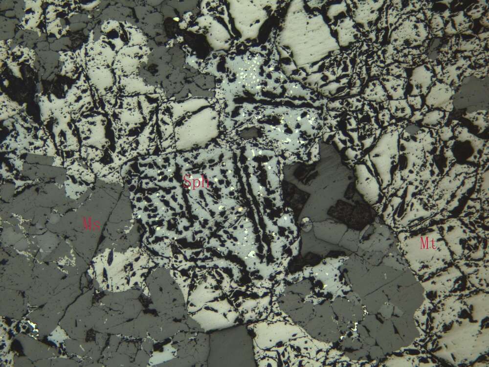 含锌中等浸染状磁铁矿矿石