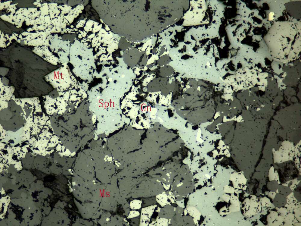 含锌中等浸染状磁铁矿矿石