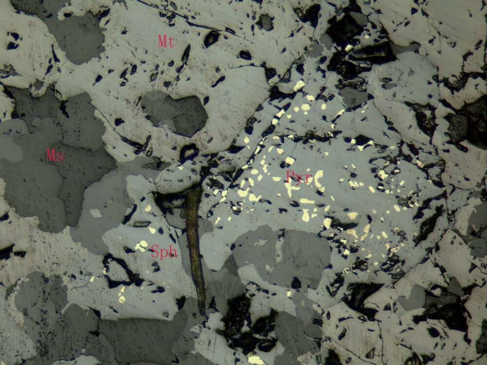 含锌中等浸染状磁铁矿矿石