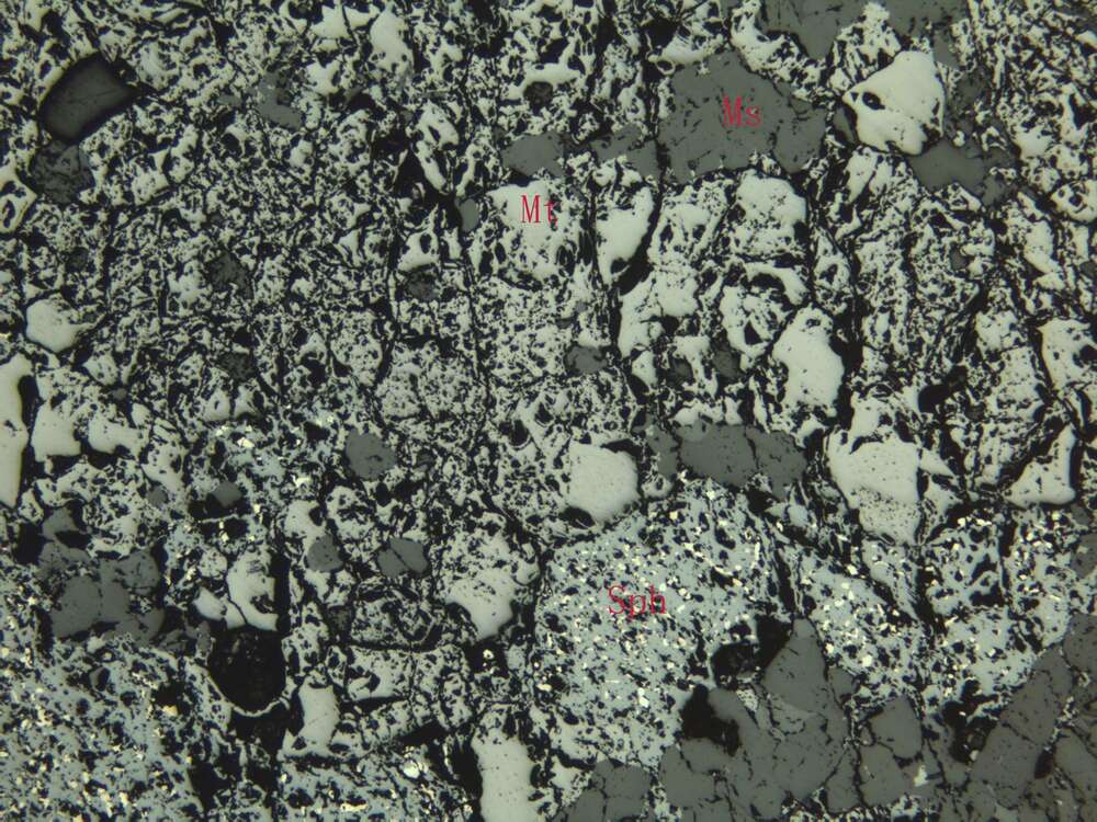 含锌稠密浸染状磁铁矿矿石