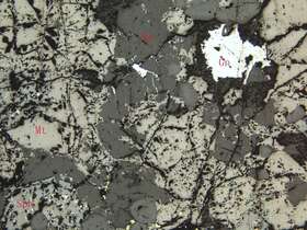 中等浸染状含锌磁铁矿矿石