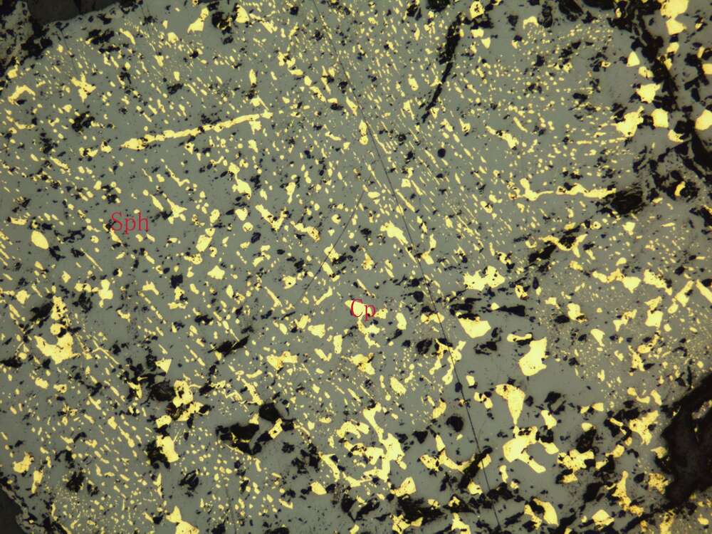 含锌中等浸染状磁铁矿矿石