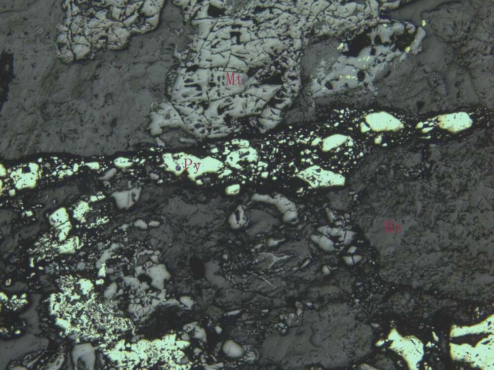 含硫稀疏浸染状磁铁矿矿石