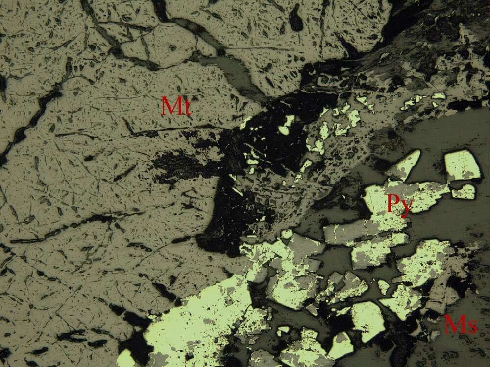 含硫磁铁矿矿石
