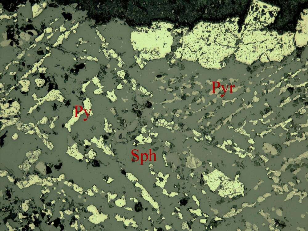 含锌硫磁铁矿矿石