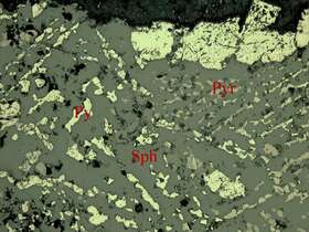 含锌硫磁铁矿矿石