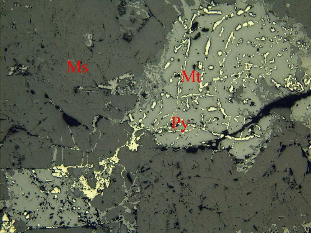 含锌磁铁矿矿石