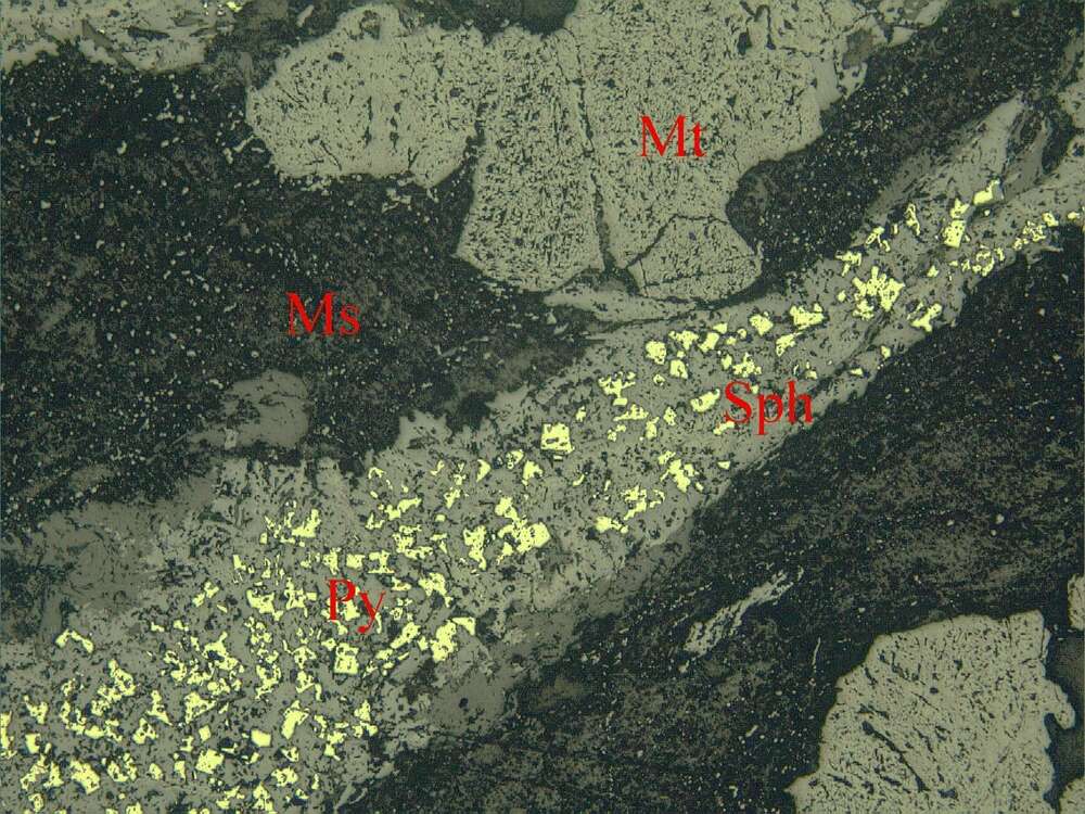 斑杂状磁铁矿矿石