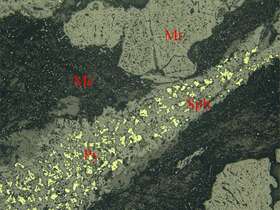 斑杂状磁铁矿矿石