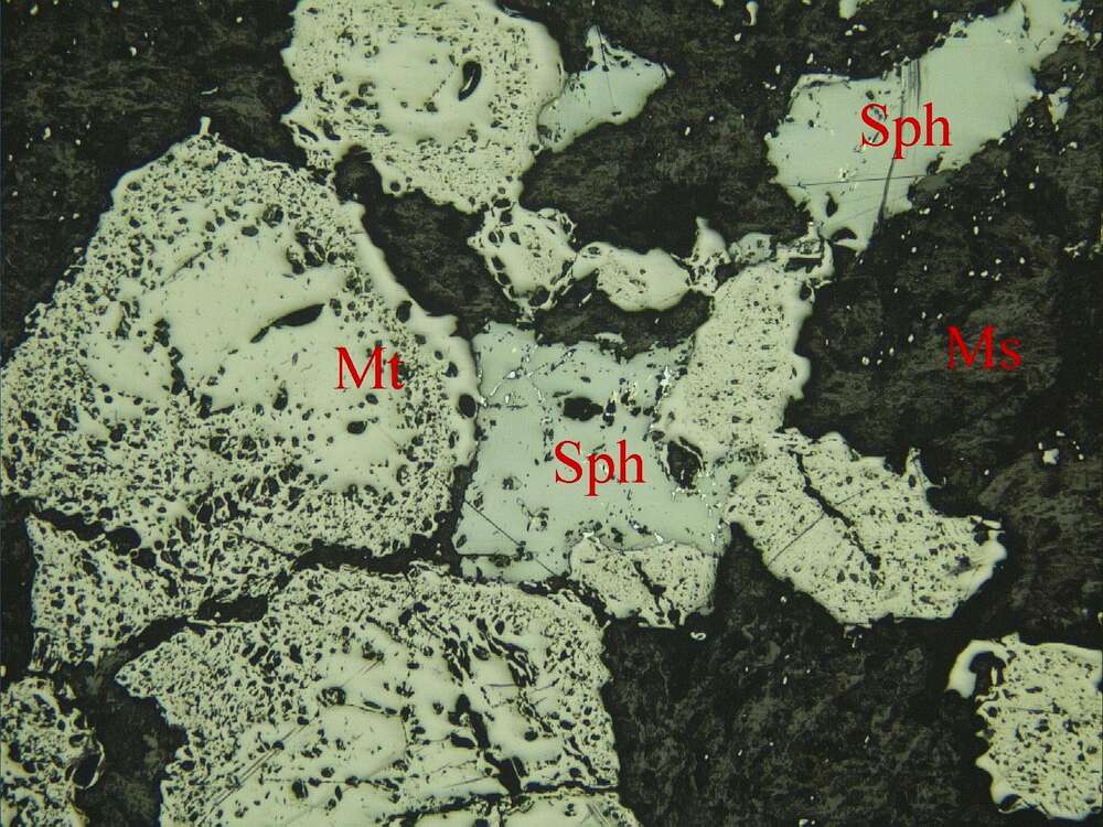 中等浸染状磁铁矿矿石