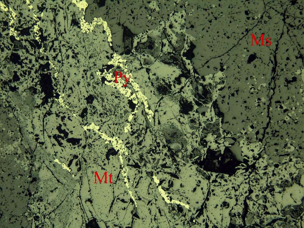 中等浸染状磁铁矿矿石