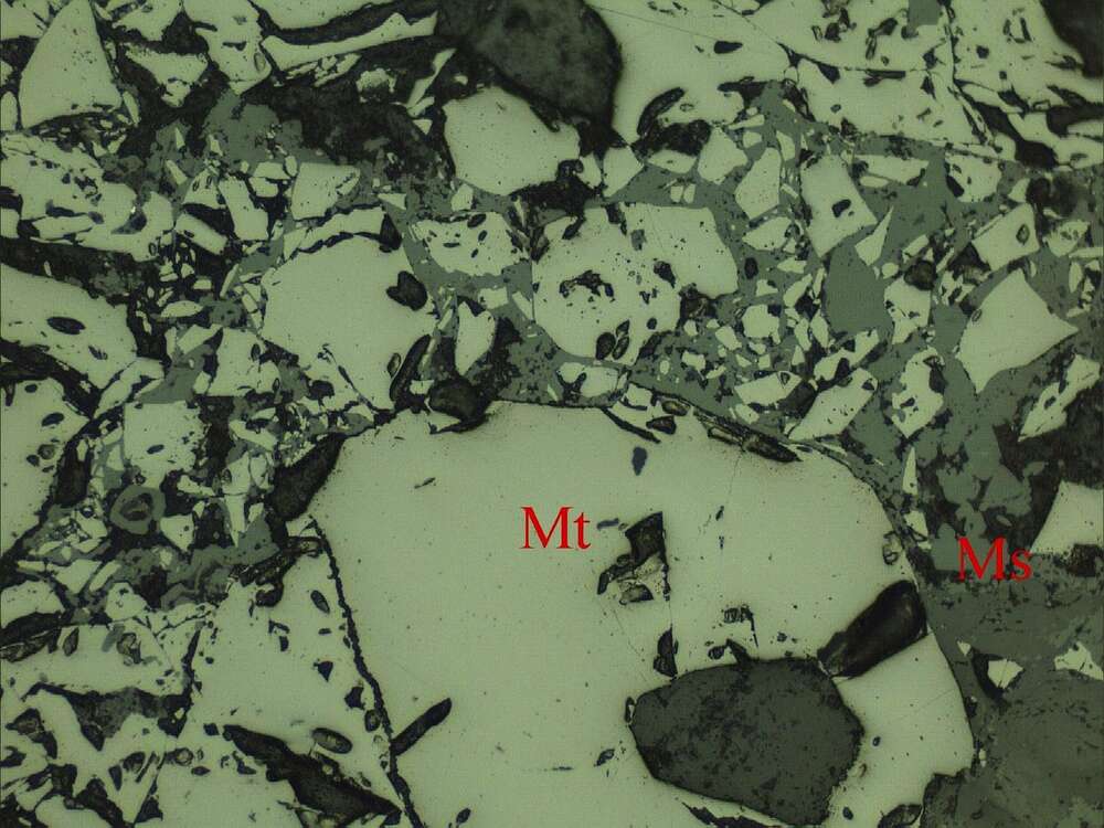 中等浸染状磁铁矿矿石