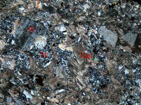 绢云母碳酸盐化（含角砾）岩屑凝灰岩