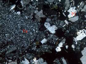 弱蚀变晶屑岩屑凝灰岩（安山质）