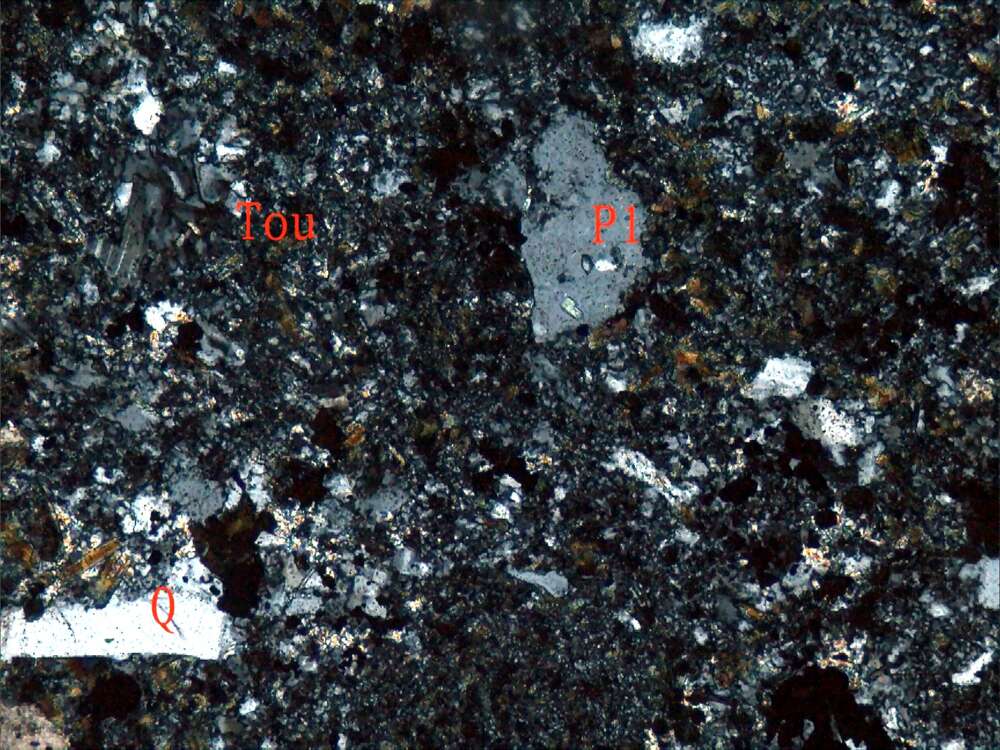 电气石化凝灰岩