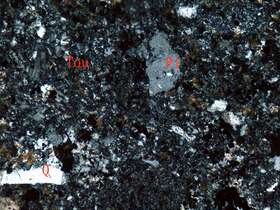 电气石化凝灰岩
