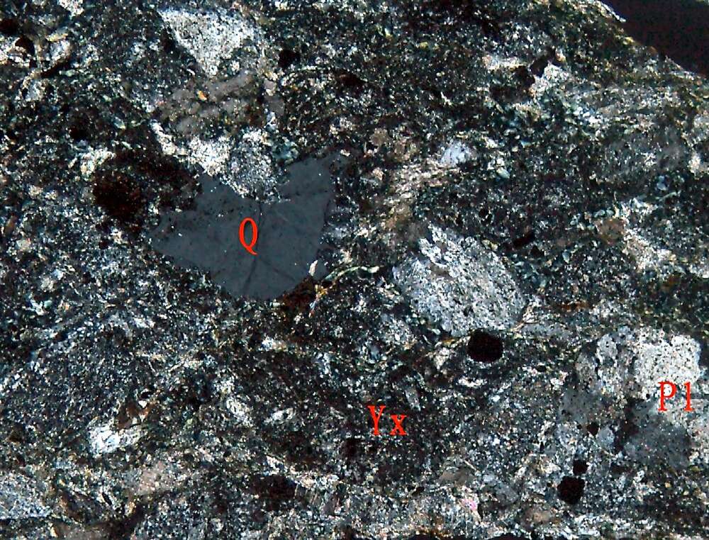 弱片理化蚀变含砾凝灰砂岩