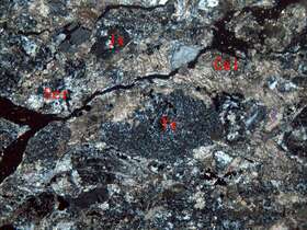 弱片理化蚀变含砾粗岩屑凝灰岩