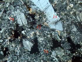 褐铁矿化电气石化蚀变含砾沉凝灰岩