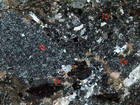 弱电气石化蚀变岩屑凝灰岩