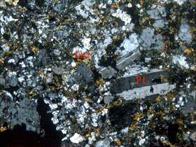 碎裂化绿泥石化闪长玢岩