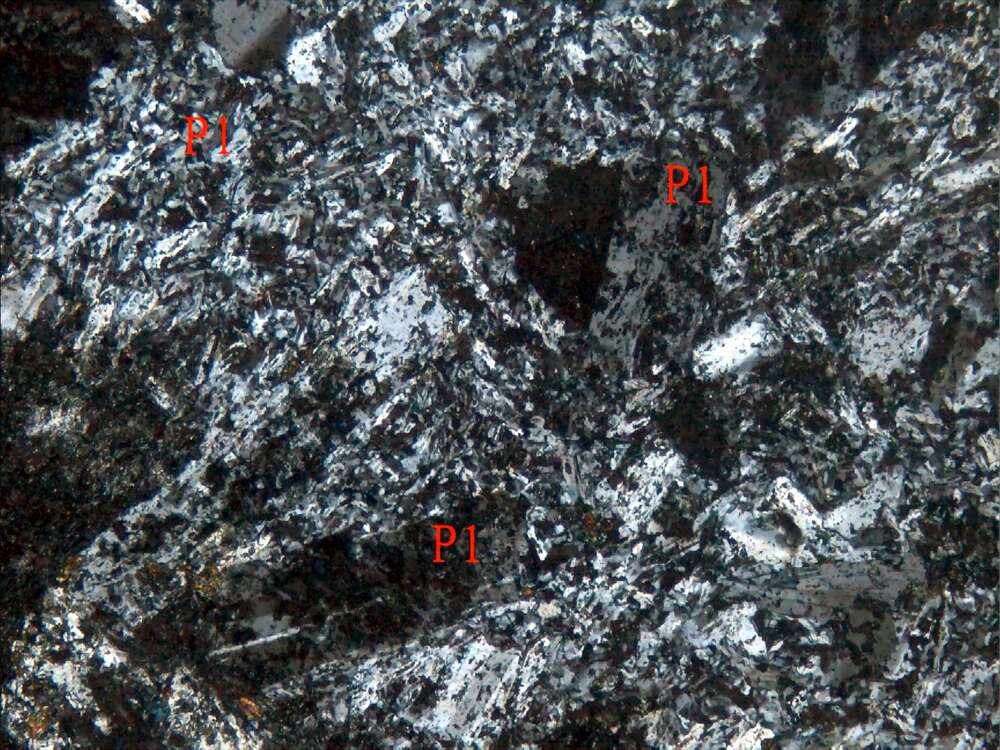 斑点状蚀变安山岩