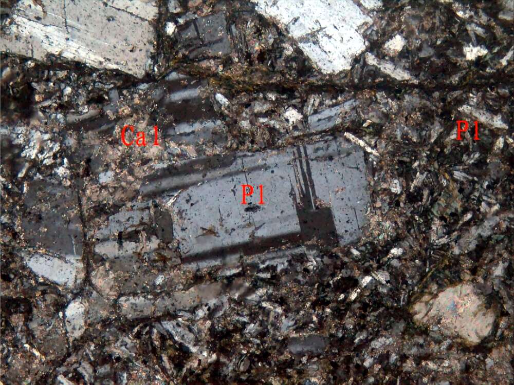 碳酸盐化蚀变安山岩