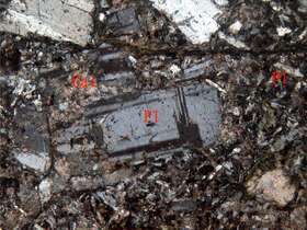 碳酸盐化蚀变安山岩