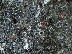 弱磁铁矿化蚀变火山角砾岩