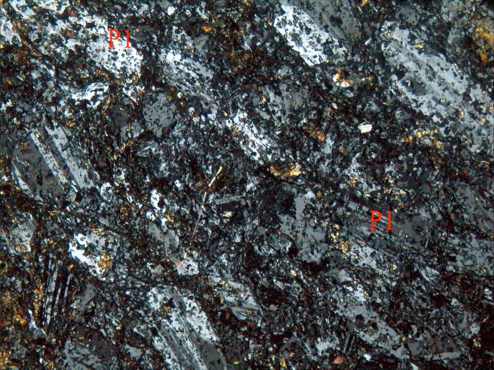 强绿帘石化安山岩（？）