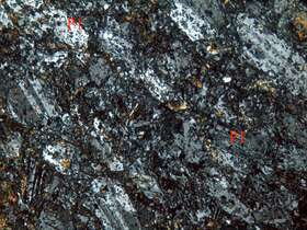 强绿帘石化安山岩（？）