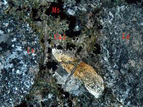 蚀变凝灰质砾岩