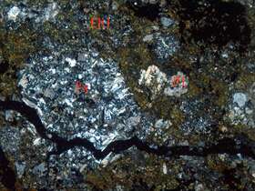 蚀变凝灰质砂岩