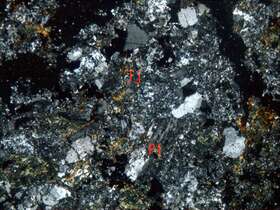 弱磁铁矿化蚀变凝灰砂岩